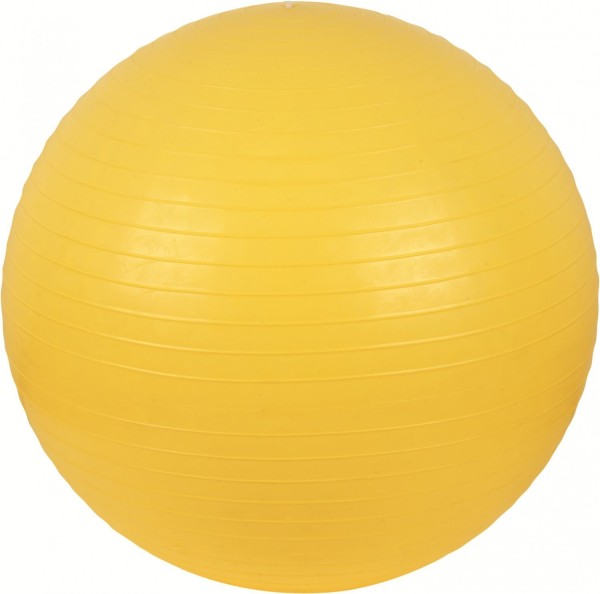 V3TEC Gymnastik Ball gelb Gr. 65cm