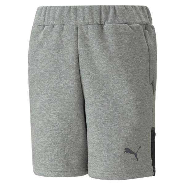 Puma Kinder teamCup Short Sweatshort grau