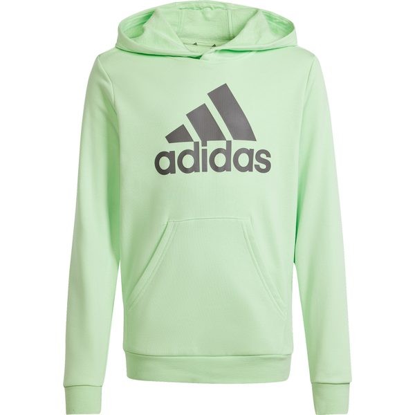 Adidas Kinder Big Logo Hoodie Kapuzenpullover mintgrün-schwarz