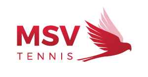 MSV